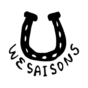 LOGO WESAISONS NEGRO 300 300